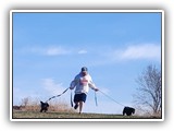 Englsh Toy Spaniel (107)