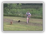 Englsh Toy Spaniel (320)