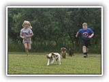 Englsh Toy Spaniel (572)
