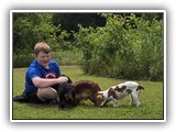 Englsh Toy Spaniel (578)