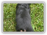 grace (5)